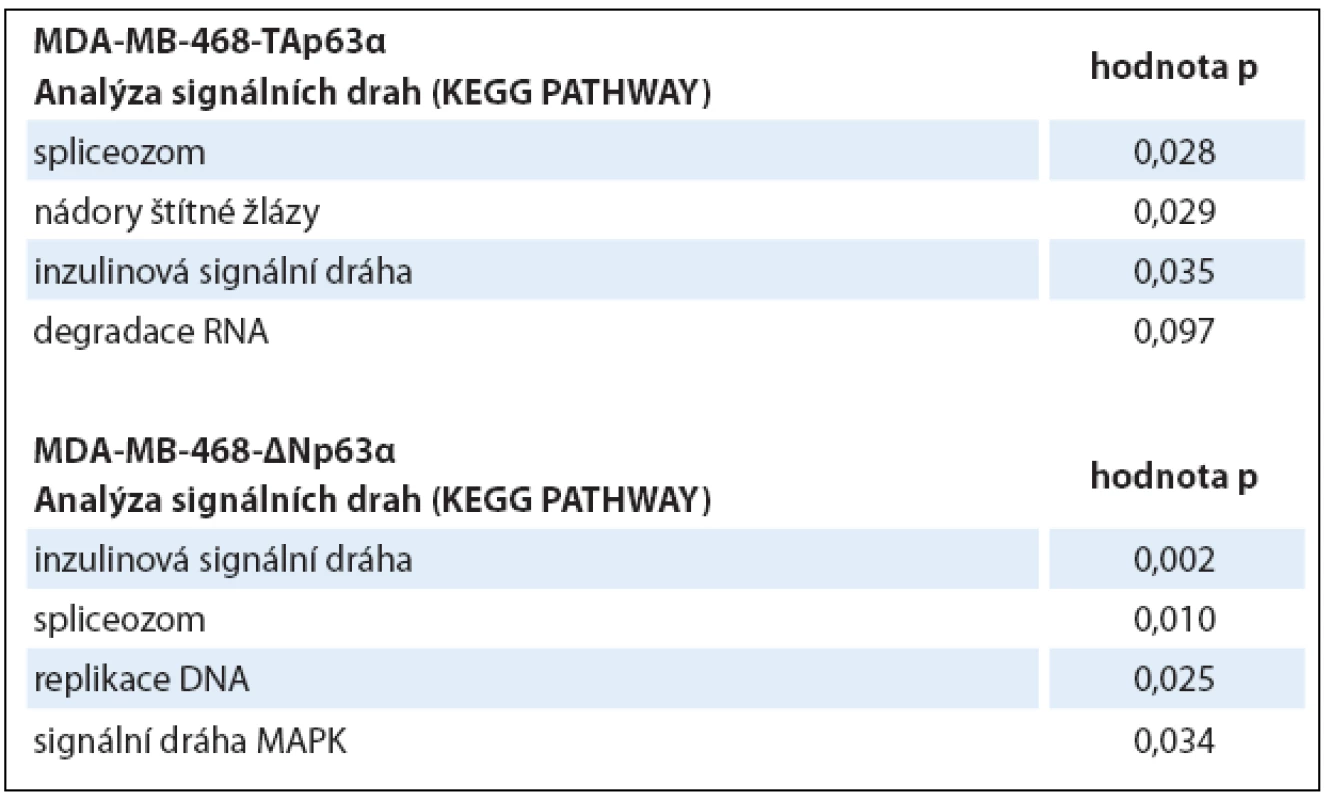 Analýza signálních drah (KEGG PATHWAYS).