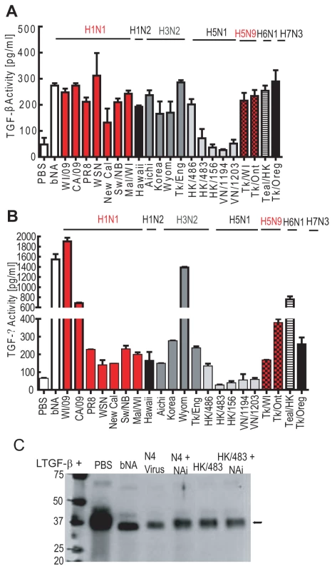 Influenza viruses differentially activate LTGF-β.