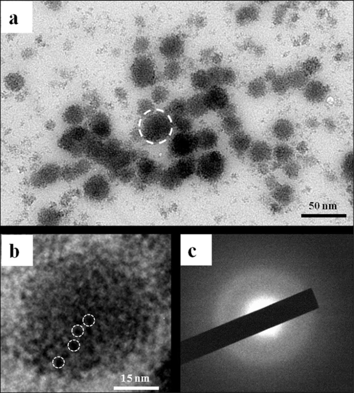 TEM and SAED characterization of nano-complexes of CMC/ACP. (a) Image of nanoparticles of ACP formed in presence of CMC (nanocomplexes of CMC/ACP). (b) Higher magnification of the typical nanoparticle indicated by a circle of white dash line in (a). This nanoparticle was composed of much smaller prenucleation clusters indicated by white dash line circles. (c) SAED of nanoparticles of CPP/ACP did not show obvious dot or ring pattern characteristic of crystal structure, which indicates that its main composition is amorphous phase.