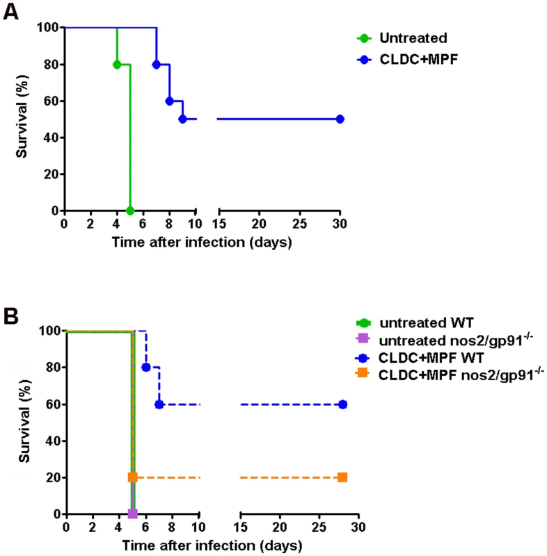 CLDC+MPF enhanced survival of SchuS4 infection <i>in vivo</i>.