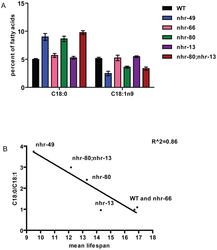 Higher levels of saturated fat in <i>nhr-80;nhr-13</i> and <i>nhr-49</i> animals correlate with shortened lifespans.