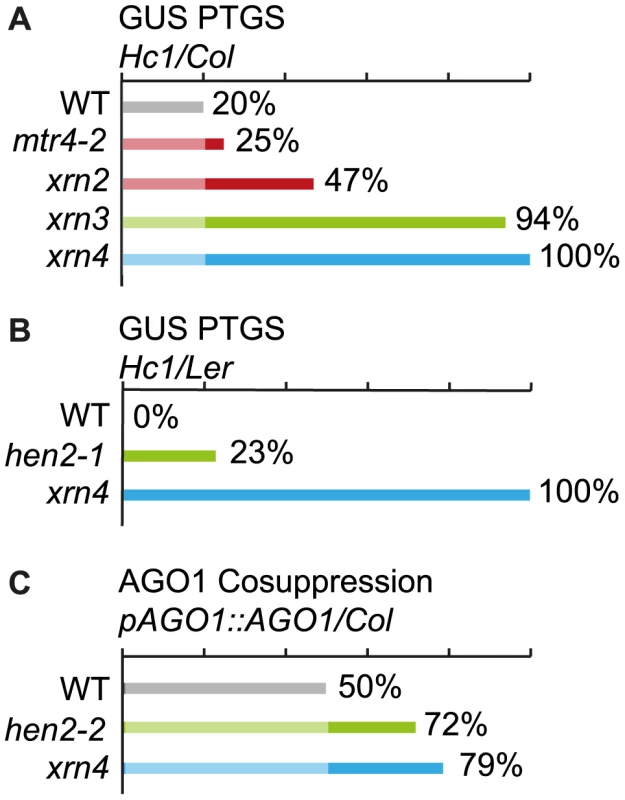 Effect of <i>mtr4</i> and <i>hen2</i> mutations on posttranscriptional silencing.