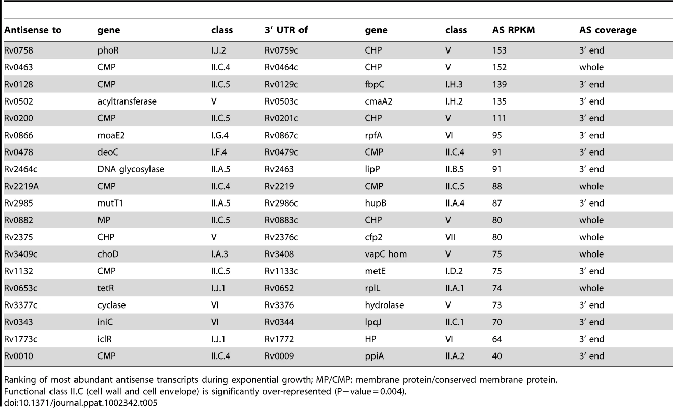 Ranking of most abundant antisense transcripts derived from 3’ UTRs.