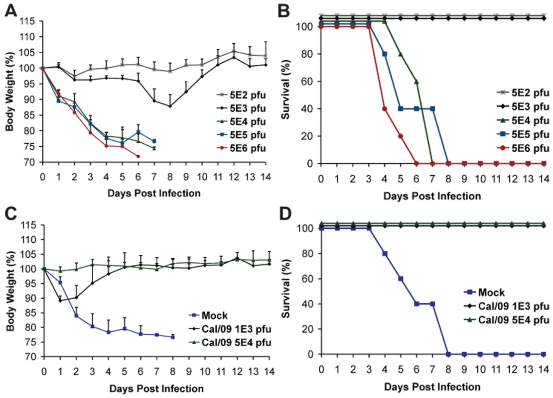 Prior infection with Cal/09 virus cross-protects mice against the lethal challenge with Neth/09 isolate.