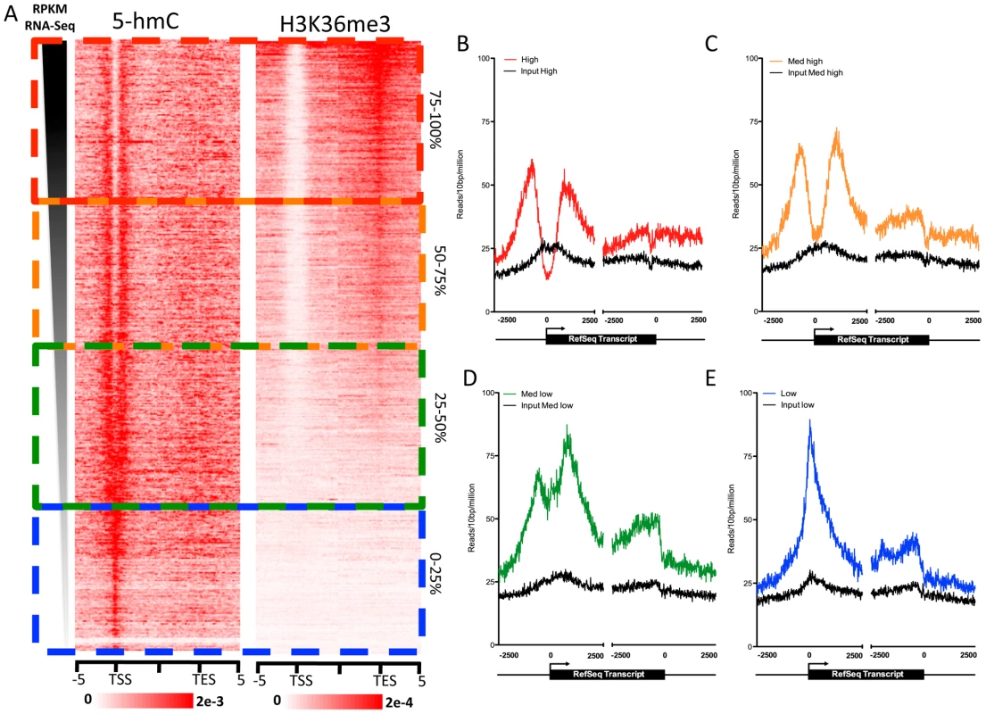 Gene expression level-dependent 5-hmC and H3K36me3 distributions in human ES cells.