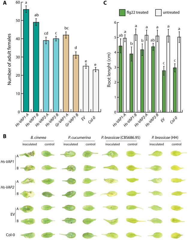 Ectopic venom allergen-like proteins suppress basal immunity in <i>Arabidopsis thaliana</i>.