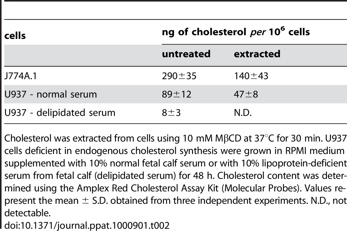 Cholesterol content in J774 and U937 cells.