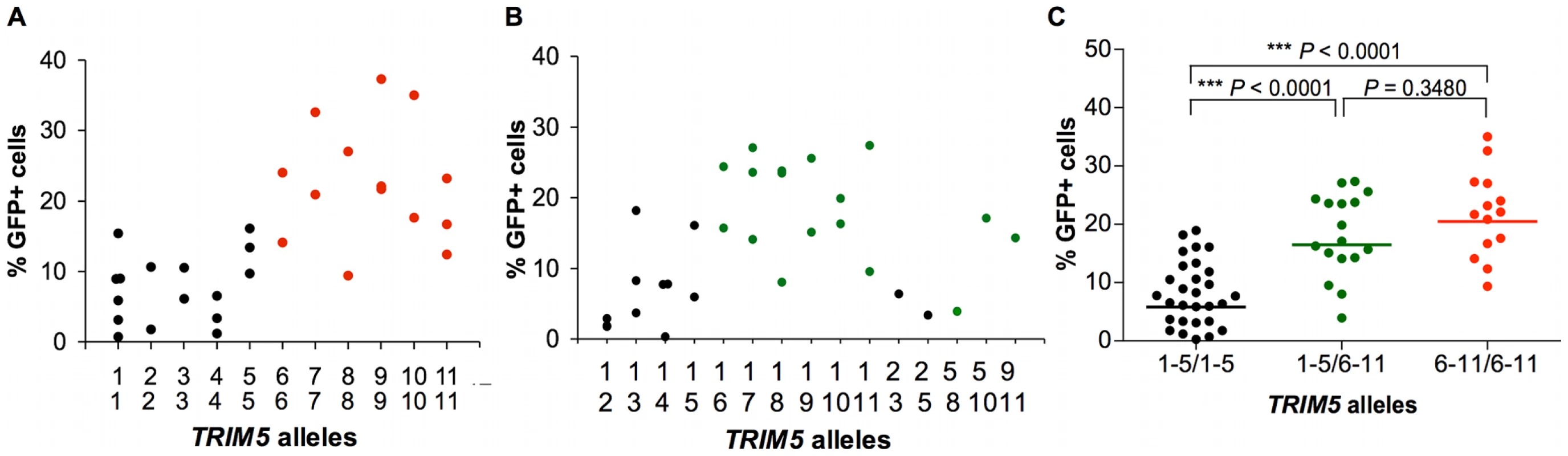 Effect of TRIM5α variants on susceptibility of B-LCLs to SIVmac239 infection.