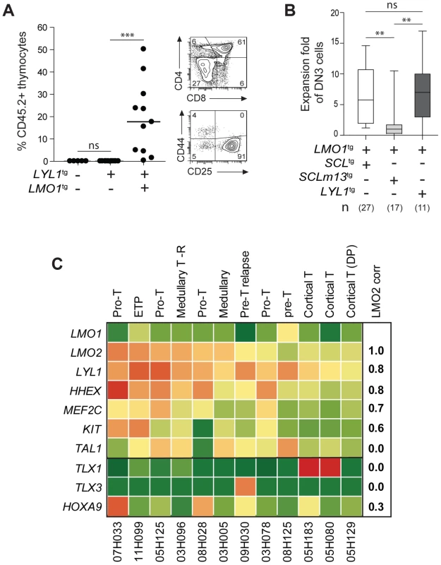 LYL1 and LMO1/2 are co-expressed in human T-ALL and collaborate to reprogram thymocytes.