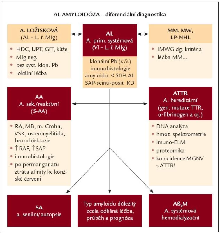 Diferenciální diagnostika AL-amyloidózy. AL – AL-amyloidóza, LŘ MIg – lehké řetězce monoklonálního imunoglobulinu, Pb – plazmatické buňky, SAP- scintigrafie – scintigrafie s použitím označené sérové amyloidové P-komponenty, HDC – horní dýchací cesty, UPT – uropoetický aparát, GIT – gastrointestinální trakt, MM – mnohočetný myelom, MW – Waldenströmova makroglobulinemie, LP-NHL – lymfoplazmocytární ne-hodgkinský lymfom, IMWG – Internati onal Myeloma Working Group, AA – sekundární, resp. reaktivní amyloidóza, RA – revmatoidní artritida, MB – Bechtěrevova choroba, VSK –
vaskulitidy, RAF – reaktanty akutní fáze, ATTR – hereditární amyloidóza podmíněná mutací genů pro transthyretin, DNA – deoxyribonukleová kyselina, ELMI – elektronová mikroskopie, MGNV – monoklonální gamapatie nejistého původu, SA – senilní amyloidóza, Aβ&lt;sub&gt;2&lt;/sub&gt;M – dialyzační amyloidóza, kde prekurzorem amyloidu je β&lt;sub&gt;2&lt;/sub&gt;- mikroglobulin.