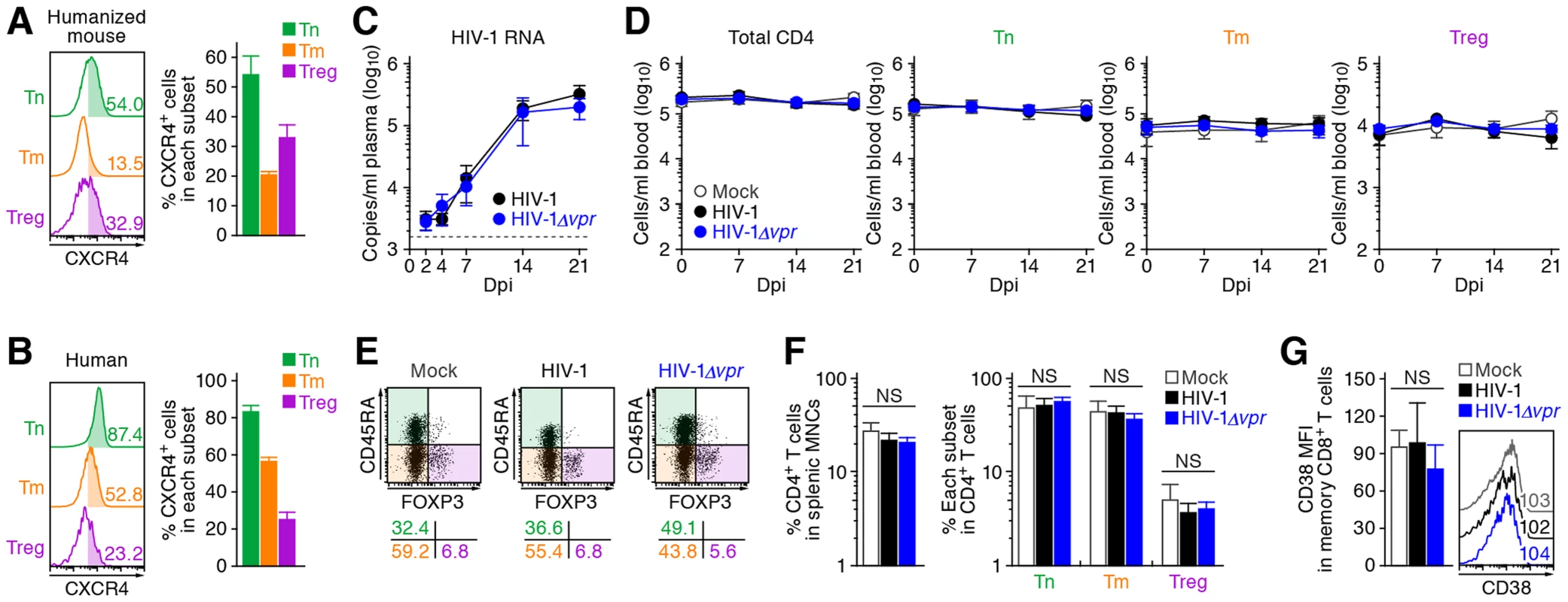 Dynamics of X4 WT and <i>vpr</i>-deficient HIV-1 infection in humanized mice.