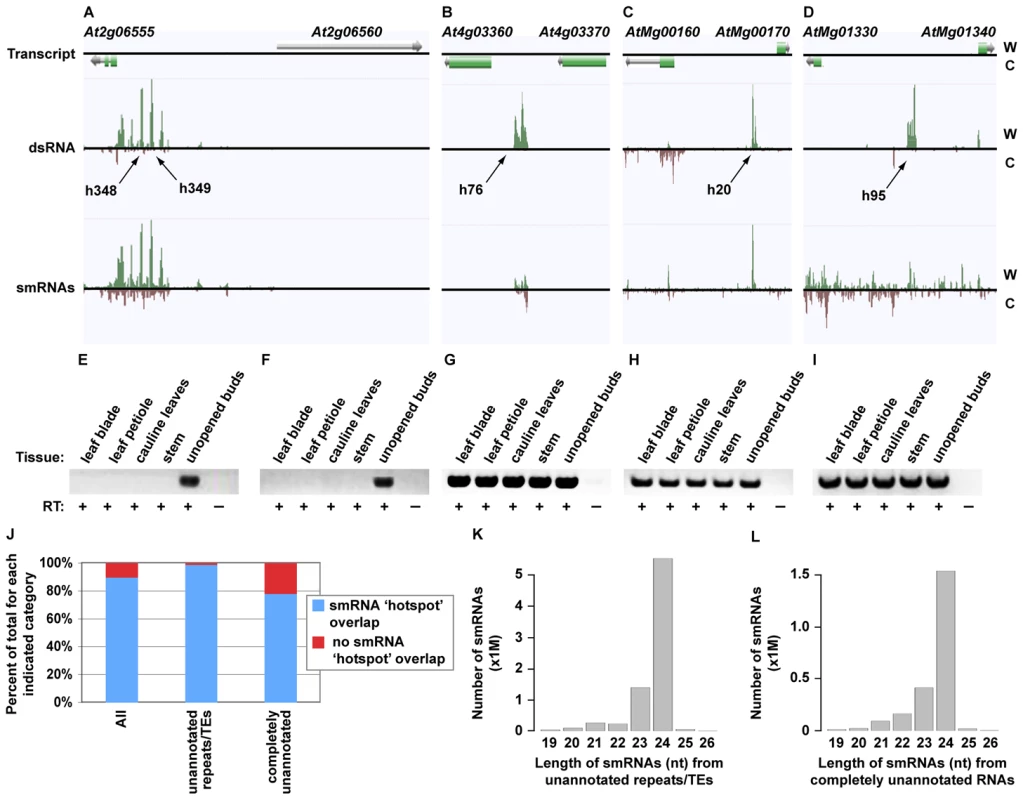 Identification of novel, highly structured RNAs using dsRNA–seq.