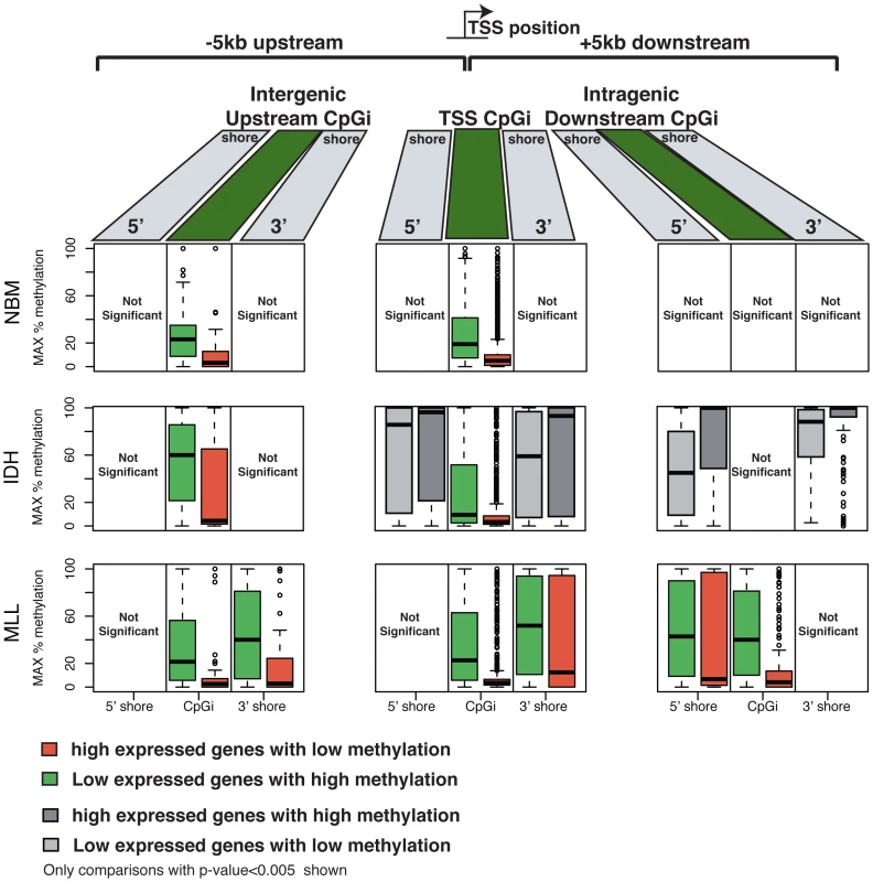 DNA methylation and gene expression relationships display subtype-specific differences.