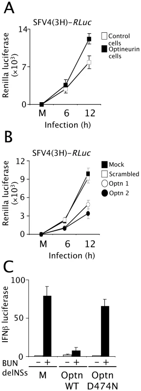 Optineurin regulates the response to virus infection.