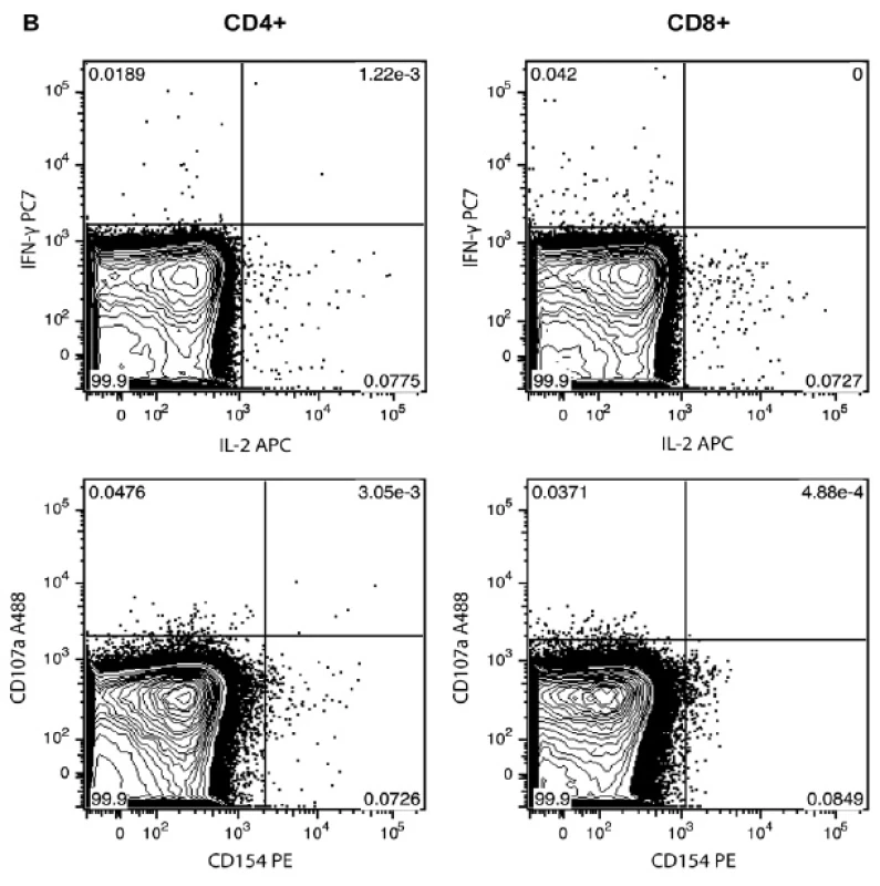 Typická funkční odpověd CD4+ a CD8+ T-lymfocytů stanovená průtokovou cytometrií po ex vivo stimulaci antigenem CMV.