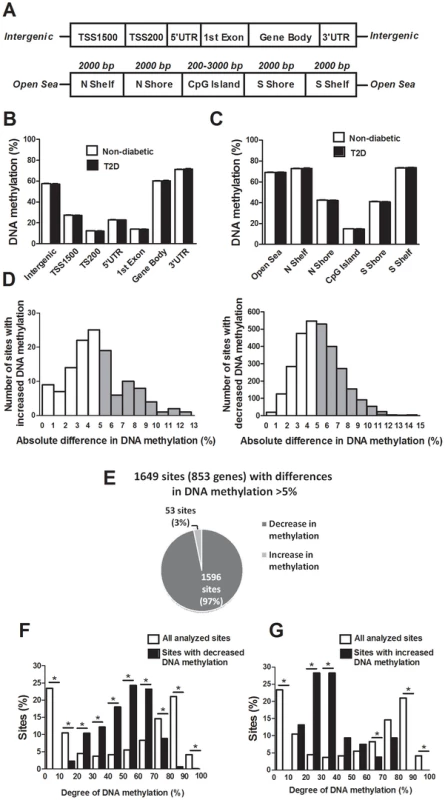 The human methylome in pancreatic islets from 15 T2D and 34 non-diabetic donors.