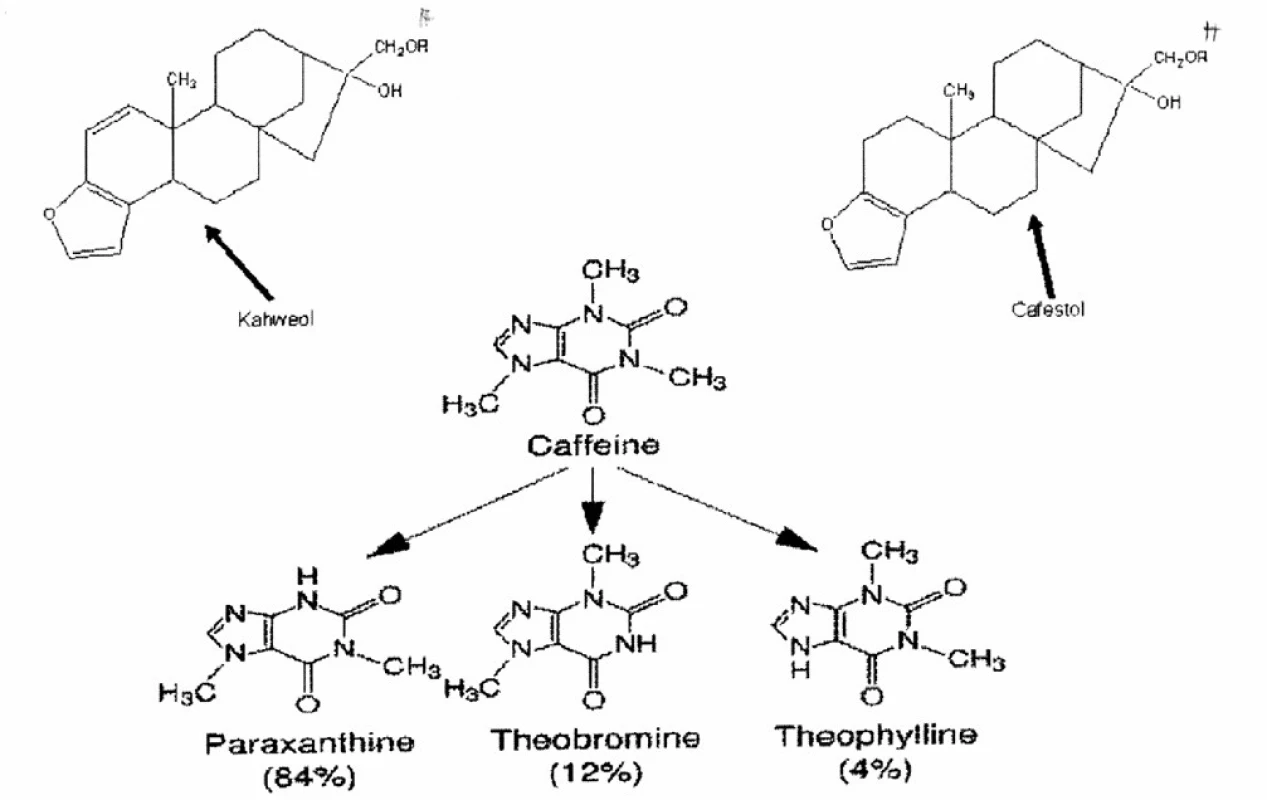 Struktura významných složek kávy – kofein a jeho metabolity a diterpeny považované za podporující dislipidémii (kafestol a kahweol)