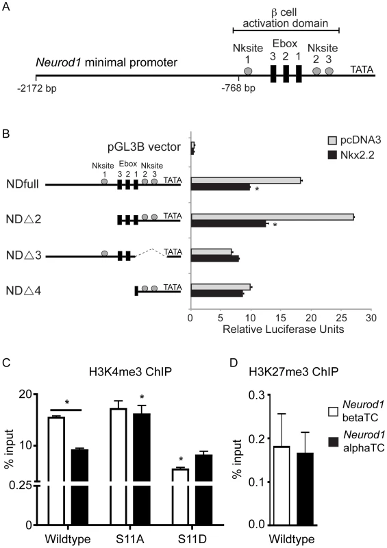 Nkx2.2 represses the <i>Neurod1</i> promoter in alphaTC1 cells.