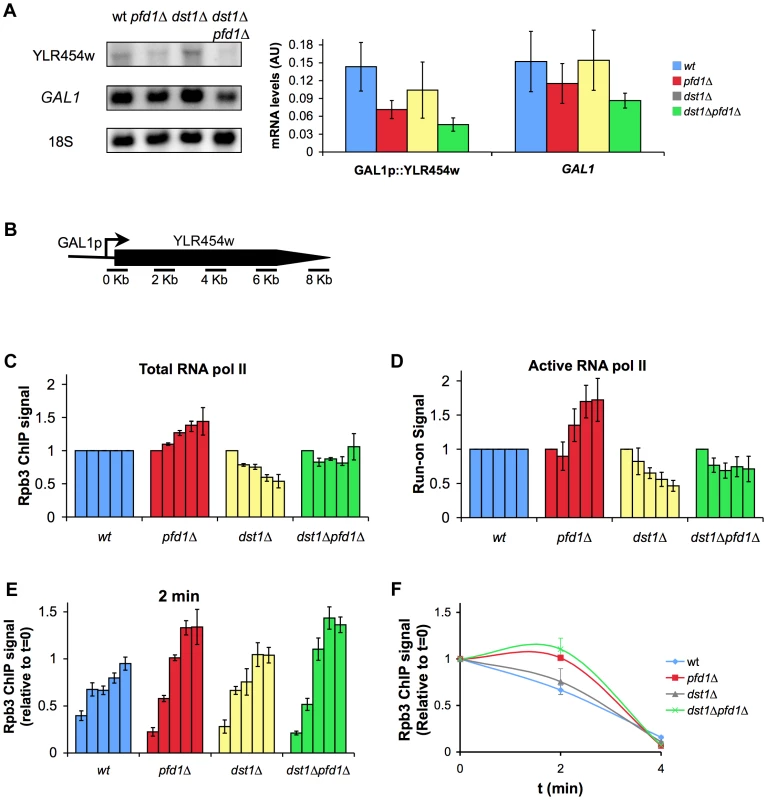 The absence of Pfd1 alters RNA polymerase II elongation across <i>GAL1</i>::YLR454w.