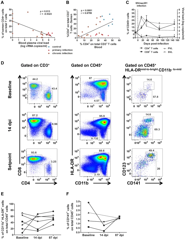Changes in semen T cells, macrophages and DCs during SIV infection.