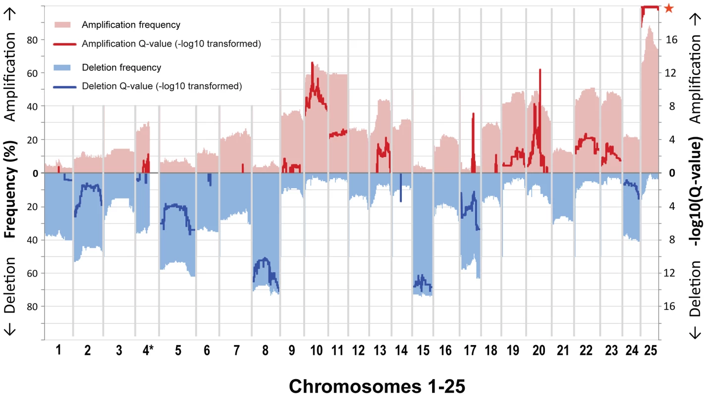 Gene-based frequency and Q-value profiles for gains and losses over the 25 zebrafish chromosomes.