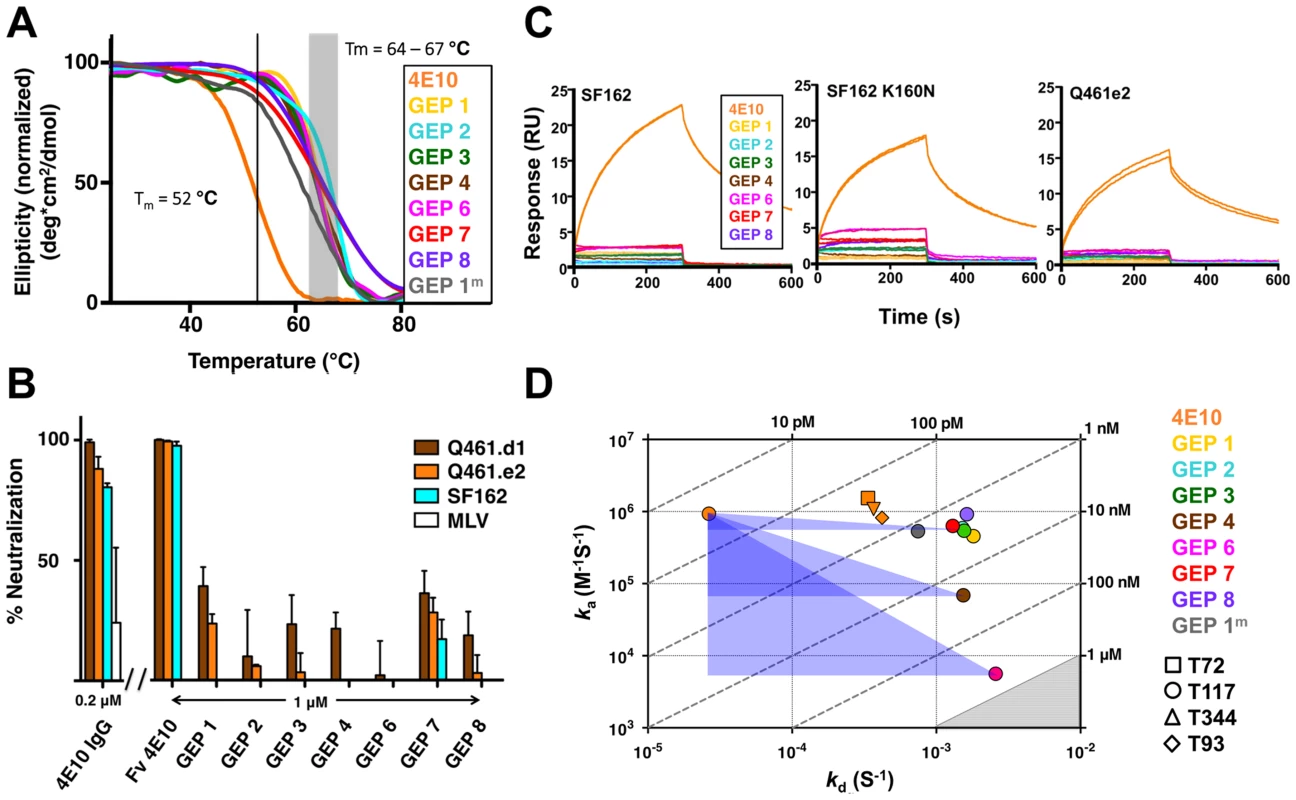 Biophysical and functional characterization of an ensemble of 4E10 GEPs.