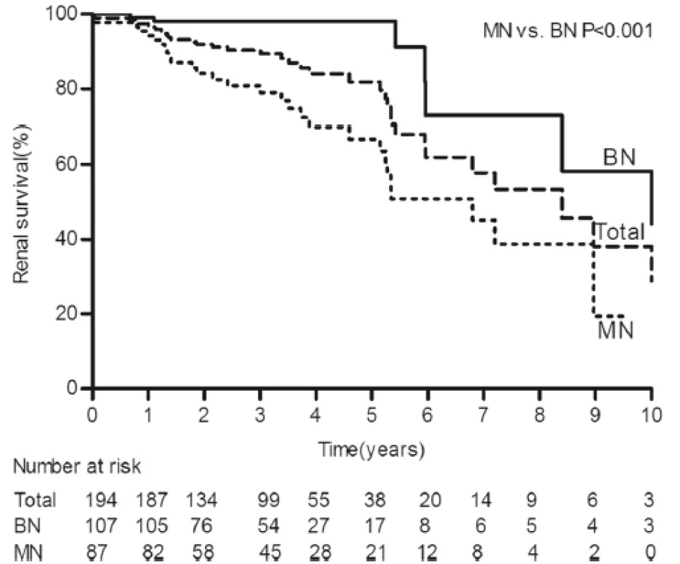 Kaplan-Meier renal survival curves for 194 patients with HN. The 5- and 10-year cumulative renal survival rates after biopsy were 84.5 % and 48.9 %, respectively, for 194 patients with HN. The 5- and 10-year cumulative renal survival rates after biopsy were 98.1 % and 58.3 %, respectively, for the BN group, and 66.8 % and 19.4 %, respectively, for the MN group (log-rank P &lt; 0.001). HN, hypertensive nephrosclerosis; BN, benign nephrosclerosis; MN, malignant nephrosclerosis