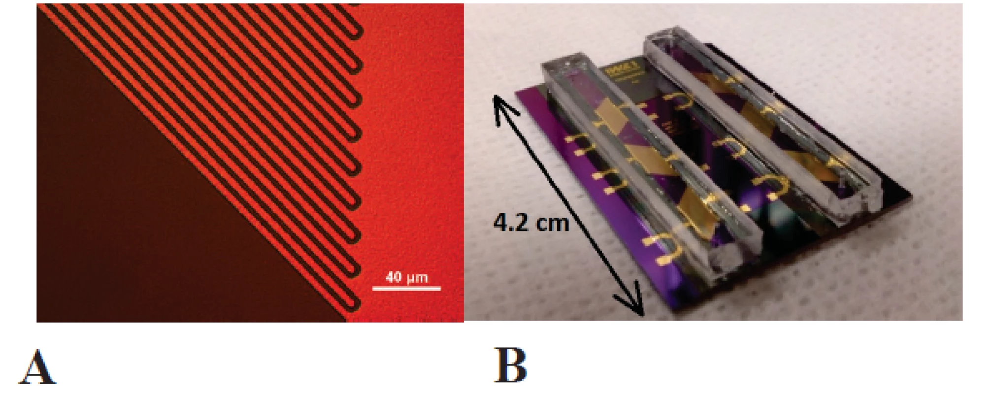 &lt;b&gt;A&lt;/b&gt; Gold interdigital electrodes for electrical impedance spectroscopy. &lt;b&gt;B&lt;/b&gt; Microfluidic chip with six sensor areas in two microfluidic channels made of SU-8 photoresist with polydimethylsiloxane cover lids.
