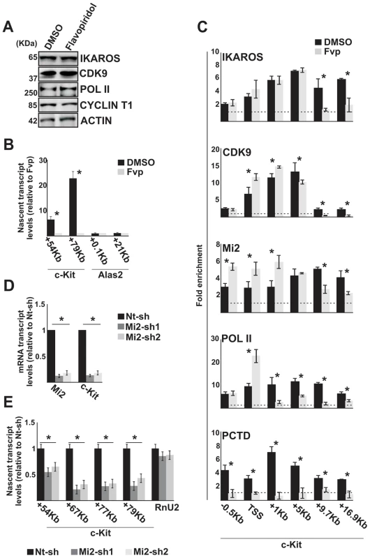 The IKAROS-NuRD-P-TEFb complex assists POL II during transcription elongation.
