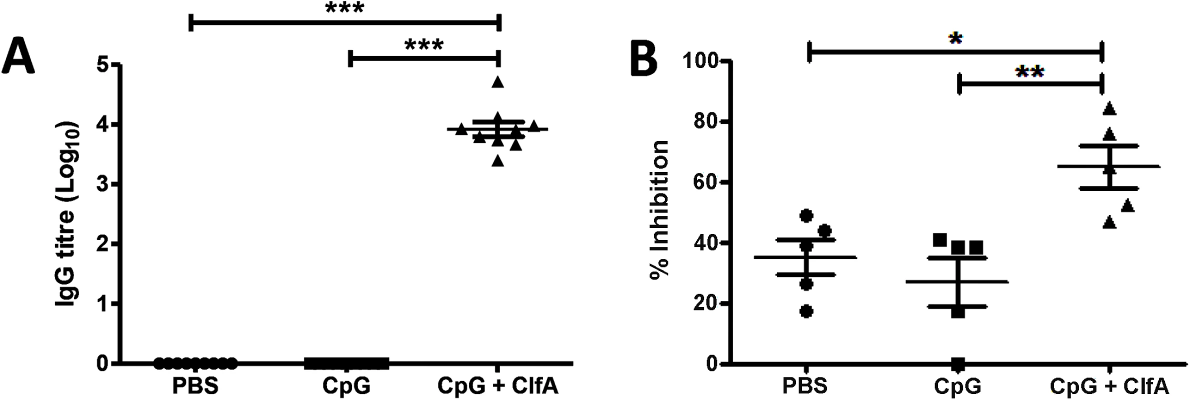 Vaccination with CpG and ClfA induces ClfA-specific cellular and humoral responses.