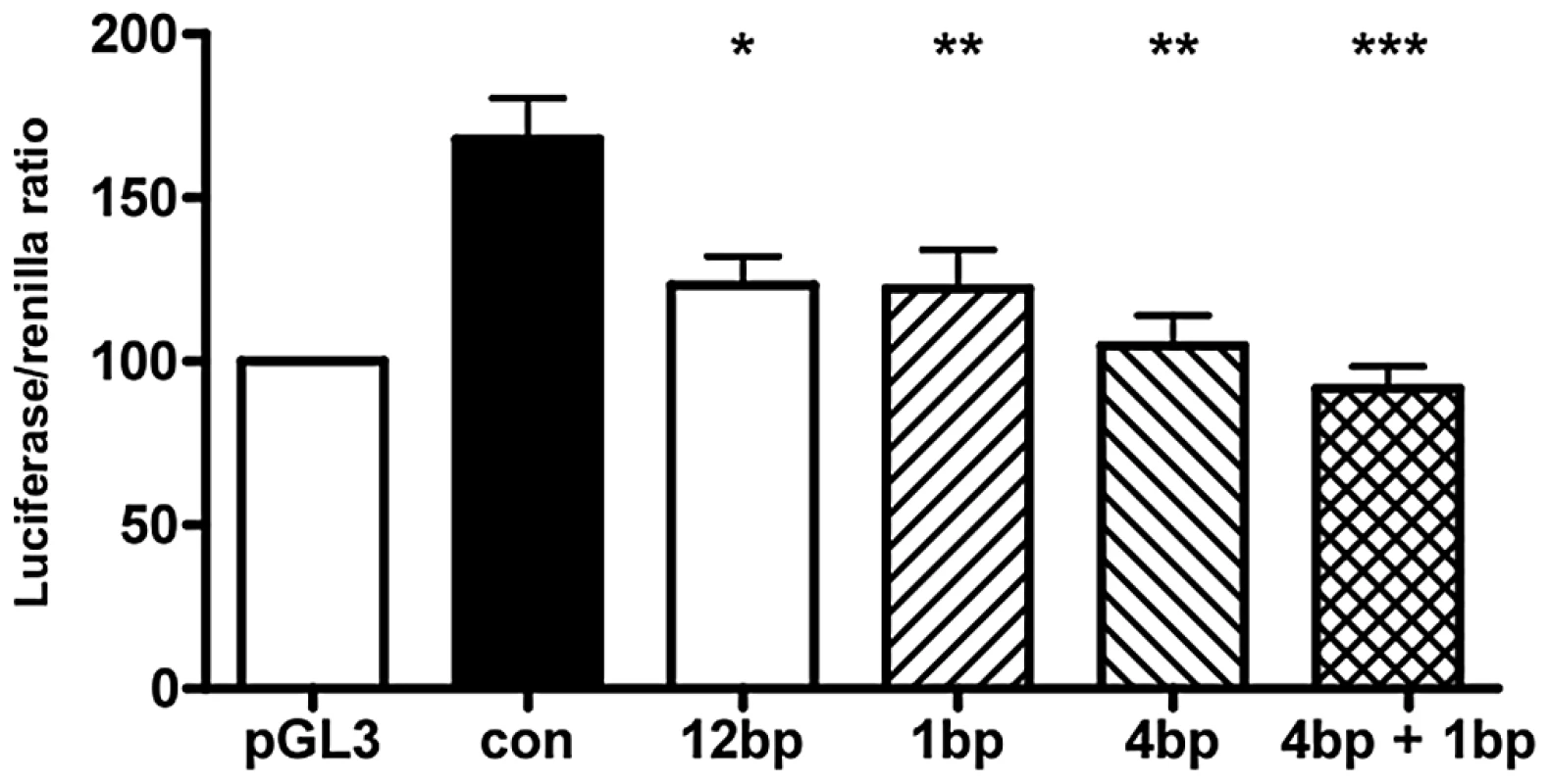 Indel polymorphisms decrease transcriptional efficiency.