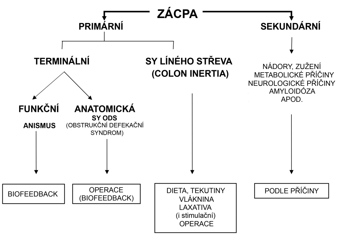 Klasifikace zácpy (Martínek J, 2012)