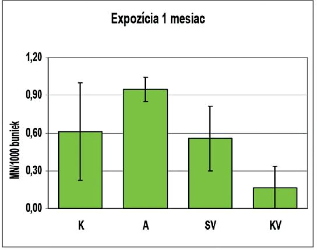 Genotoxické účinky AMO, SV a KV po 1-mesačnej expozícii
