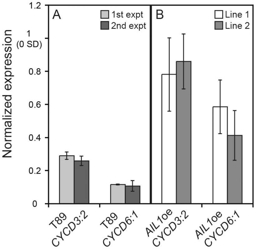 Differential regulation of D-type cyclin expression in the <i>AIL1</i>oe lines compared to the wild type (T89) after SD-treatment.