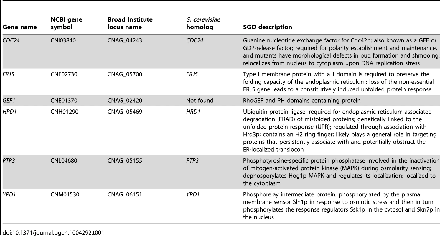 List of genes that suppressed &lt;i&gt;cdc24Δ&lt;/i&gt; hypoxic phenotype.
