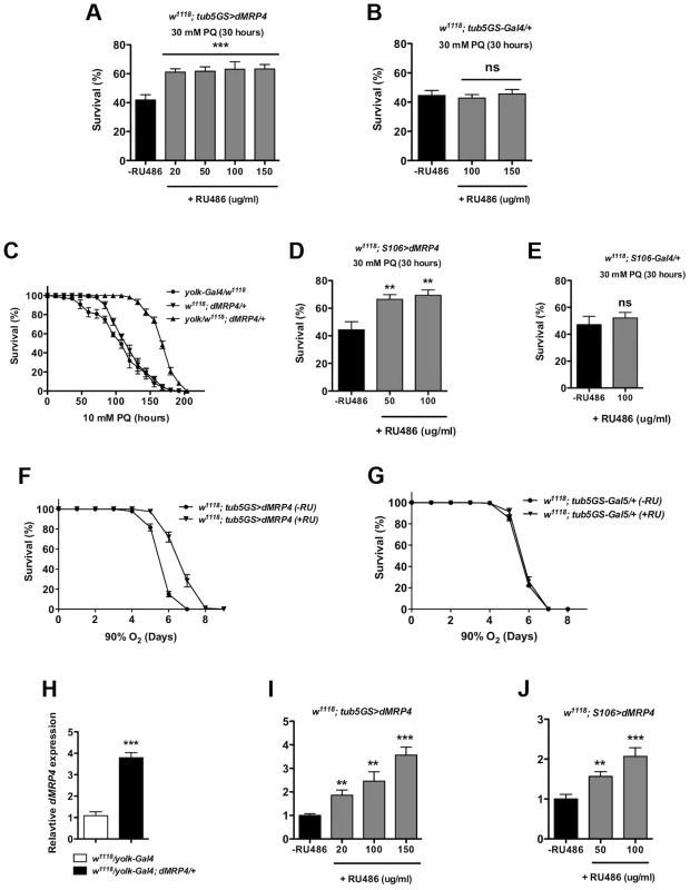 Elevated <i>dMRP4</i> expression increases oxidative resistance.