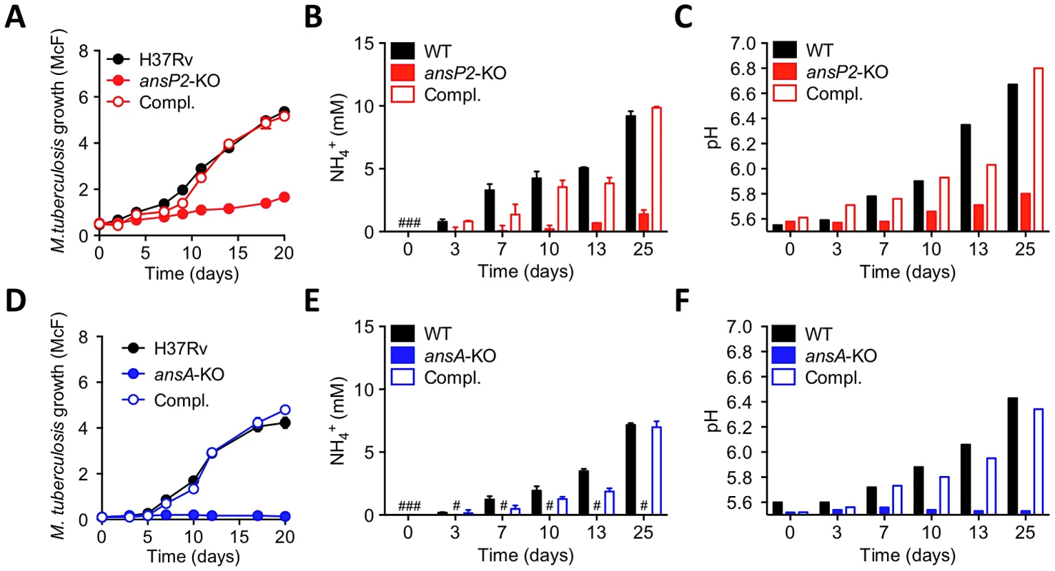 Varied requirement of AnsP2 and AnsA for <i>M. tuberculosis</i> resistance to acid stress in vitro.