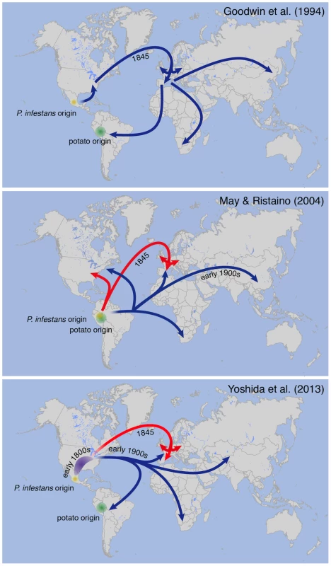 Different models proposed for 19th-century <i>P.</i> infestans pandemics.
