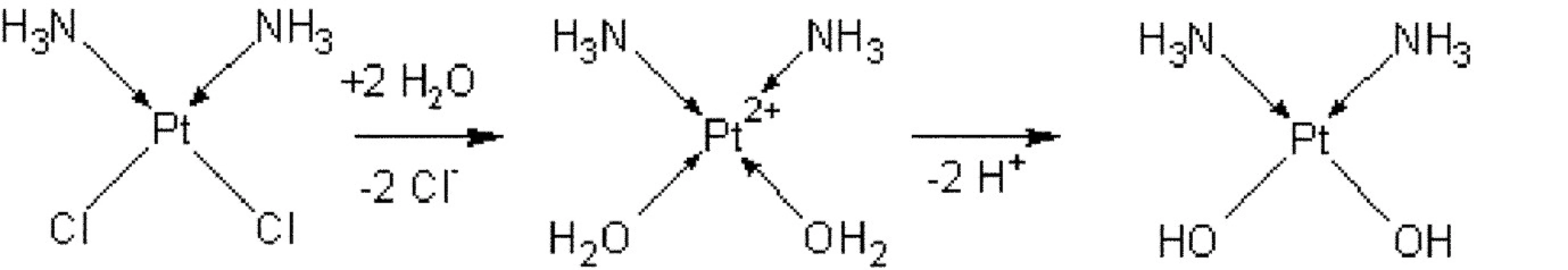 Schéma aktivace cisplatiny po vstupu do buňky (hydrolýza vazeb Pt-Cl)