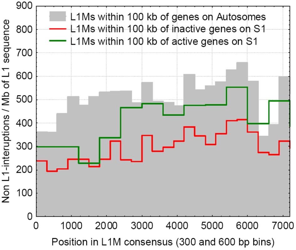 The frequencies of interruptions into L1Ms, within 100 kb of genes, for the genes that escape inactivation on the S1, are inactivated on the S1, and on the autosomes.