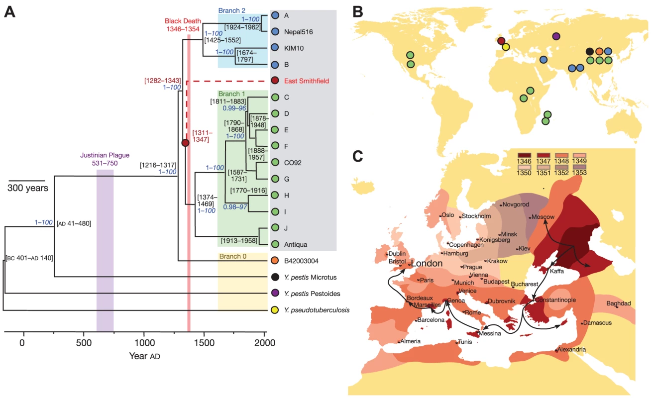 Patterns of historical transmission reconstructed by whole genome sequencing.