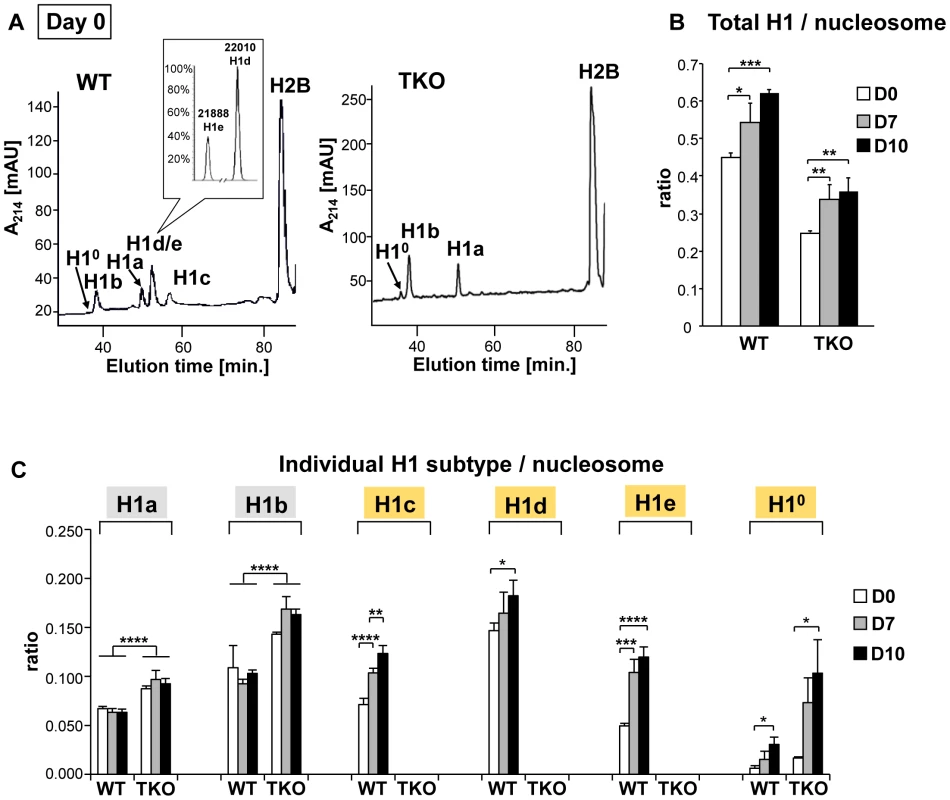 Expression profiles of linker histones in WT and H1 TKO cultures during EB differentiation.