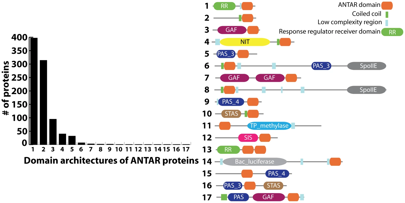 Distribution of ANTAR-containing proteins according to their domain organization (Pfam: PF03861).