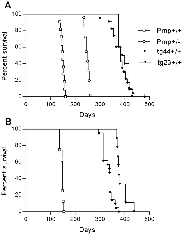 Survival curves for scrapie-infected mice.