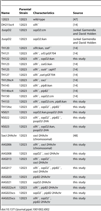 &lt;i&gt;Salmonella&lt;/i&gt; strains used in this study.