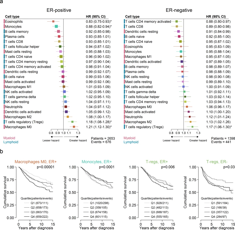 Prognostic associations of subsets of immune cells.