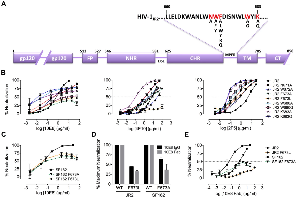 Partial neutralization of HIV-1 JR2, SF162 and corresponding MPER mutants by 10E8.
