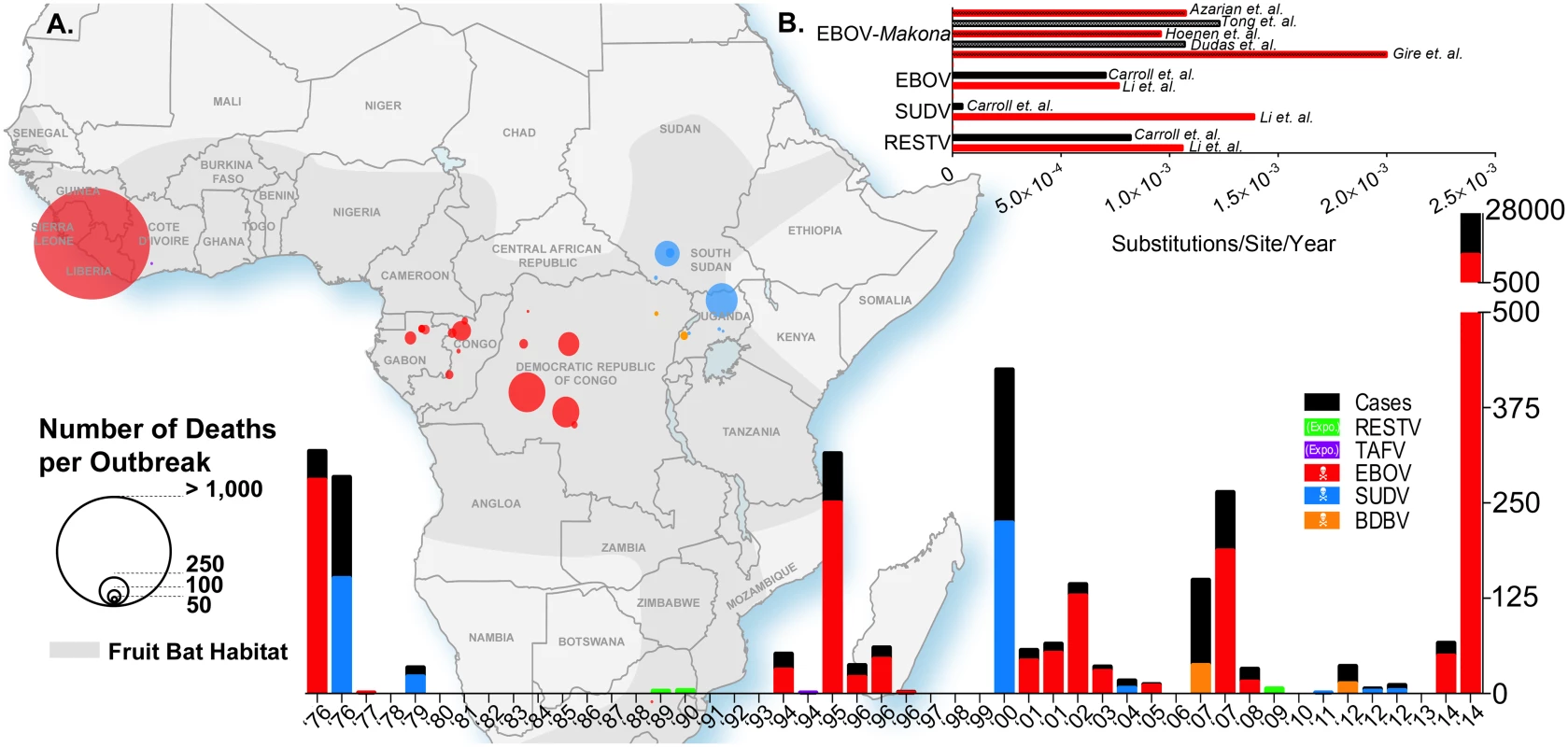 Ebolavirus outbreaks past and present.