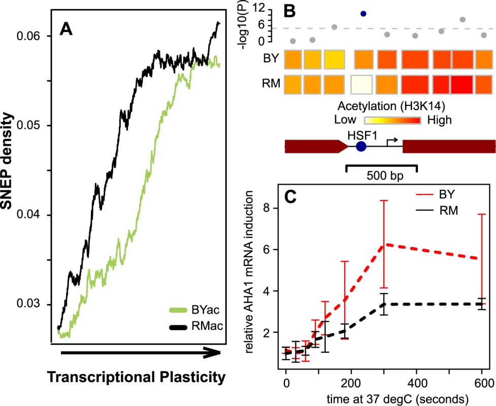SNEP correlation with transcriptional plasticity.