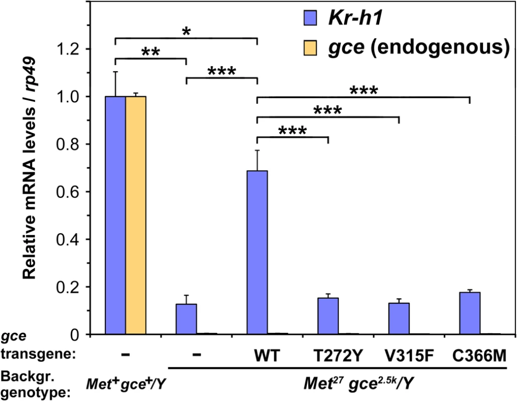 The ligand-binding capacity of Gce is required for normal expression of the direct JH-response gene <i>Kr-h1 in vivo</i>.